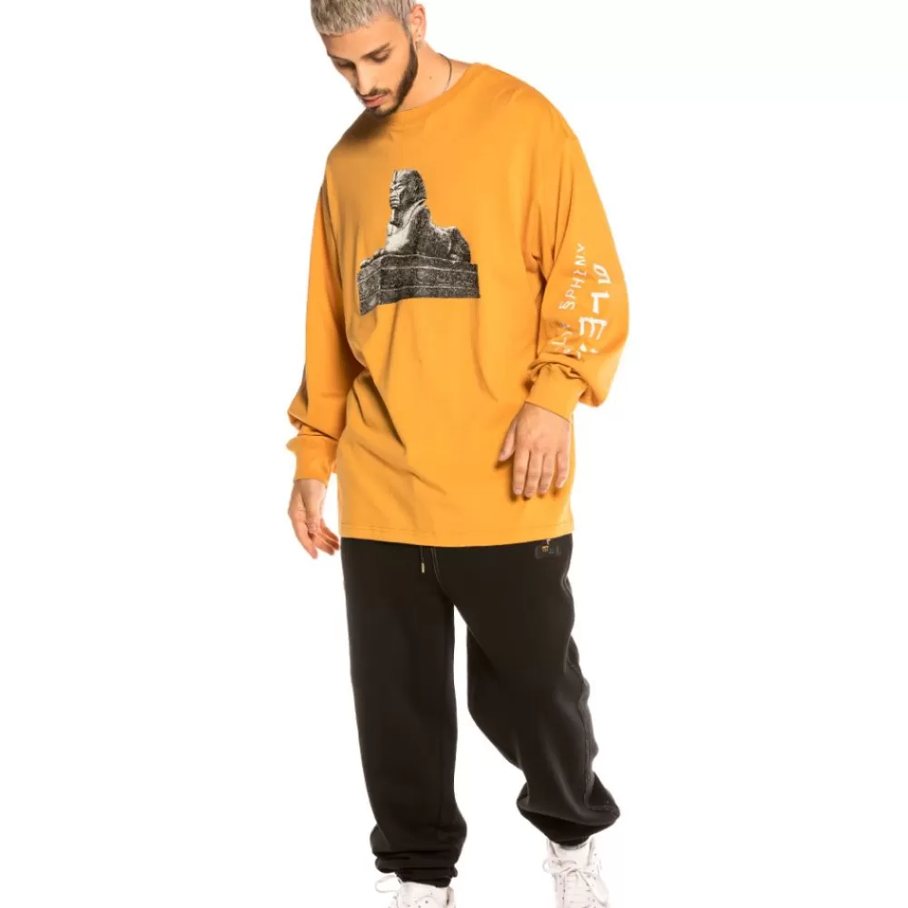 Grimey Camiseta Call Of Yore Long Sleeve Fw20 Brown Cheap
